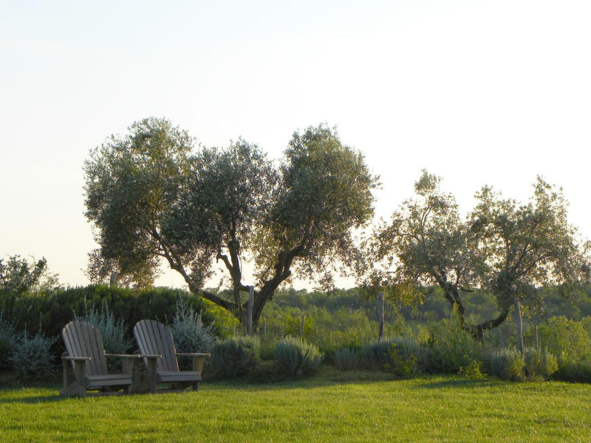 Macchiabuia Bed and Breakfast Capalbio Buitenkant foto