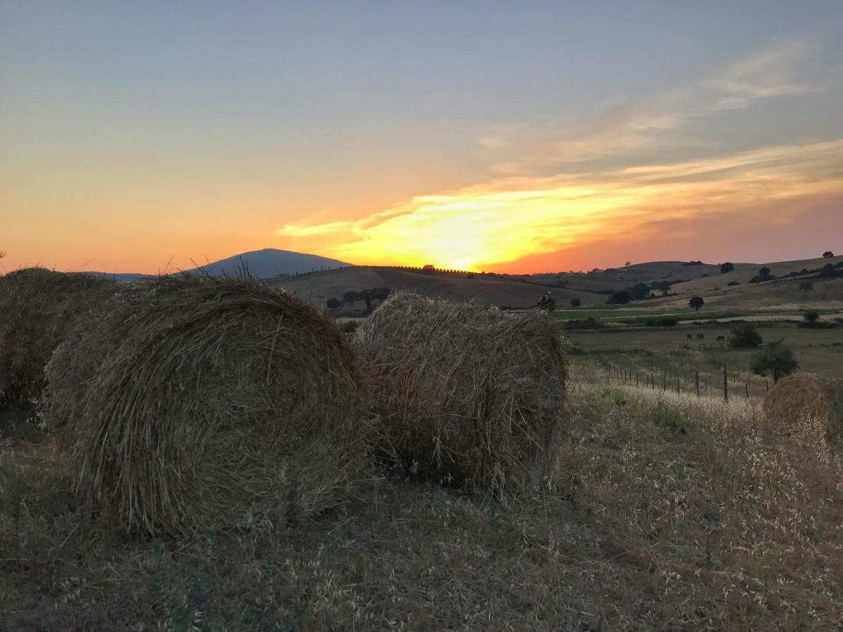 Macchiabuia Bed and Breakfast Capalbio Buitenkant foto